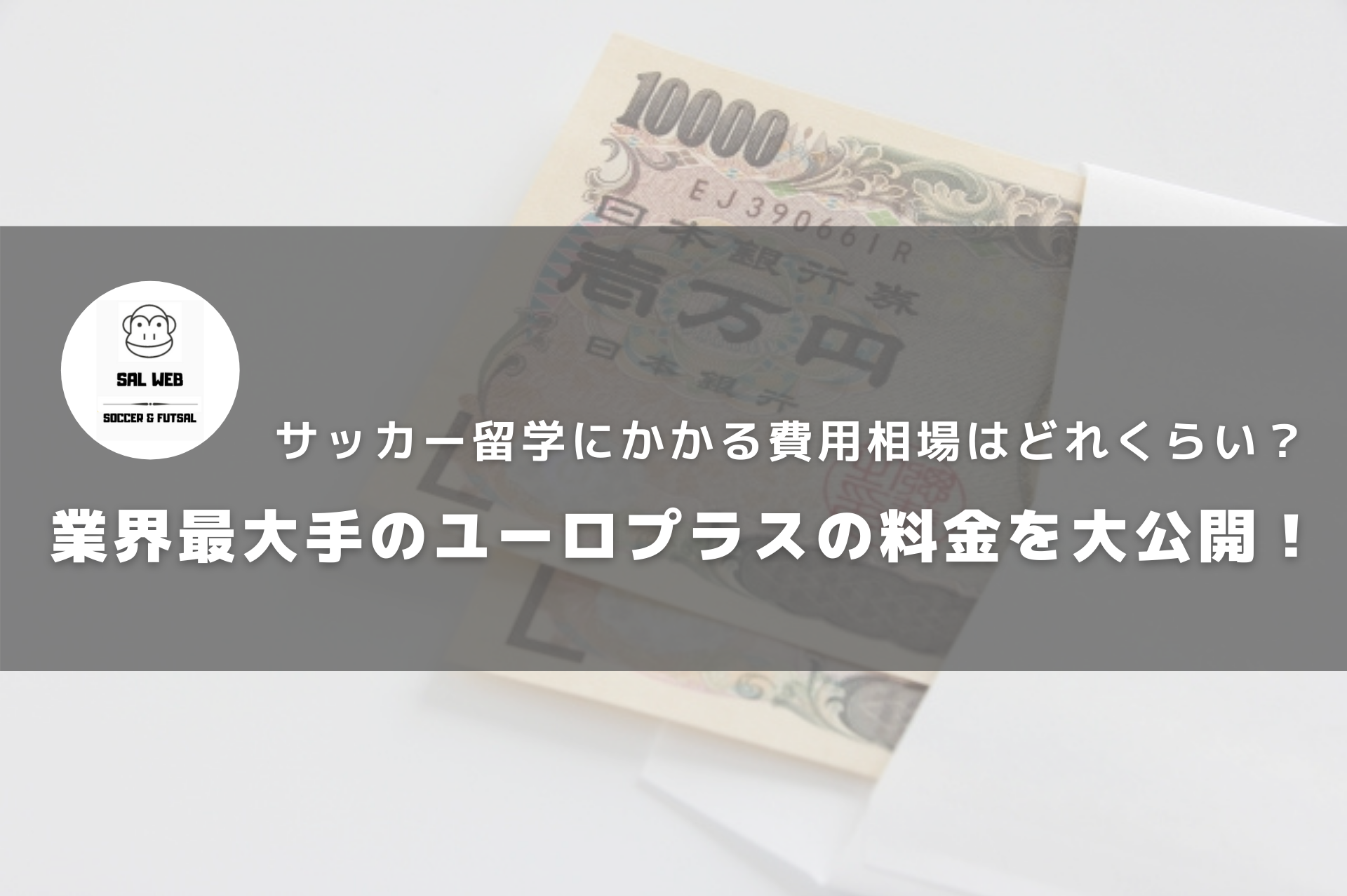 暴露 サッカー留学にかかる費用相場はどれくらい 業界最大手のユーロプラスの料金を大公開 サッカー留学 トライアウトならサルウェブ