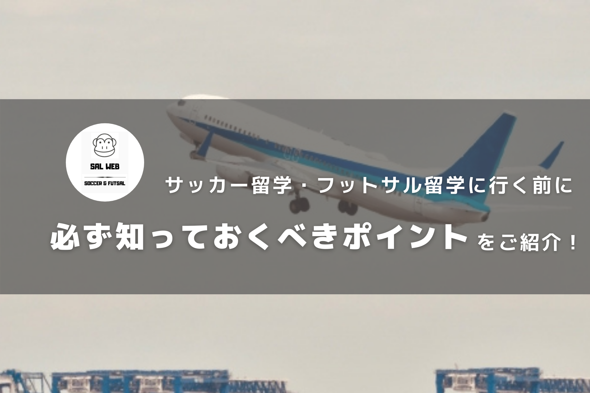 経験者が語る サッカー留学 フットサル留学に行く前に必ず知っておくべきポイントをご紹介 サッカー留学 トライアウトならサルウェブ