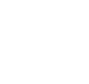 SALWEBLOGOwite